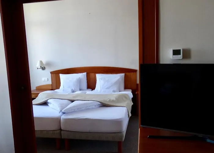 Máté 924 Apartman *